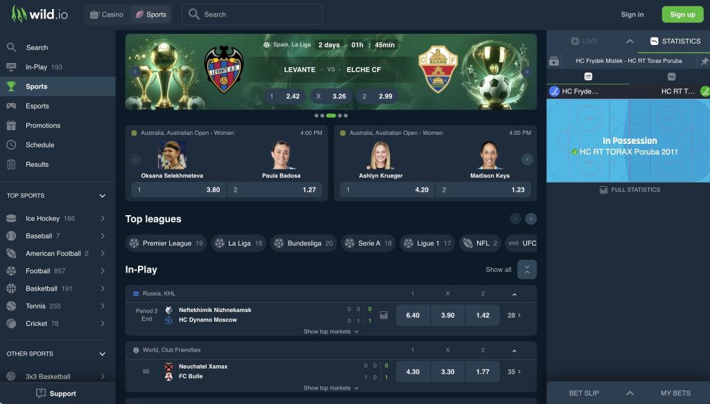 Wild.io Crypto Betting Site